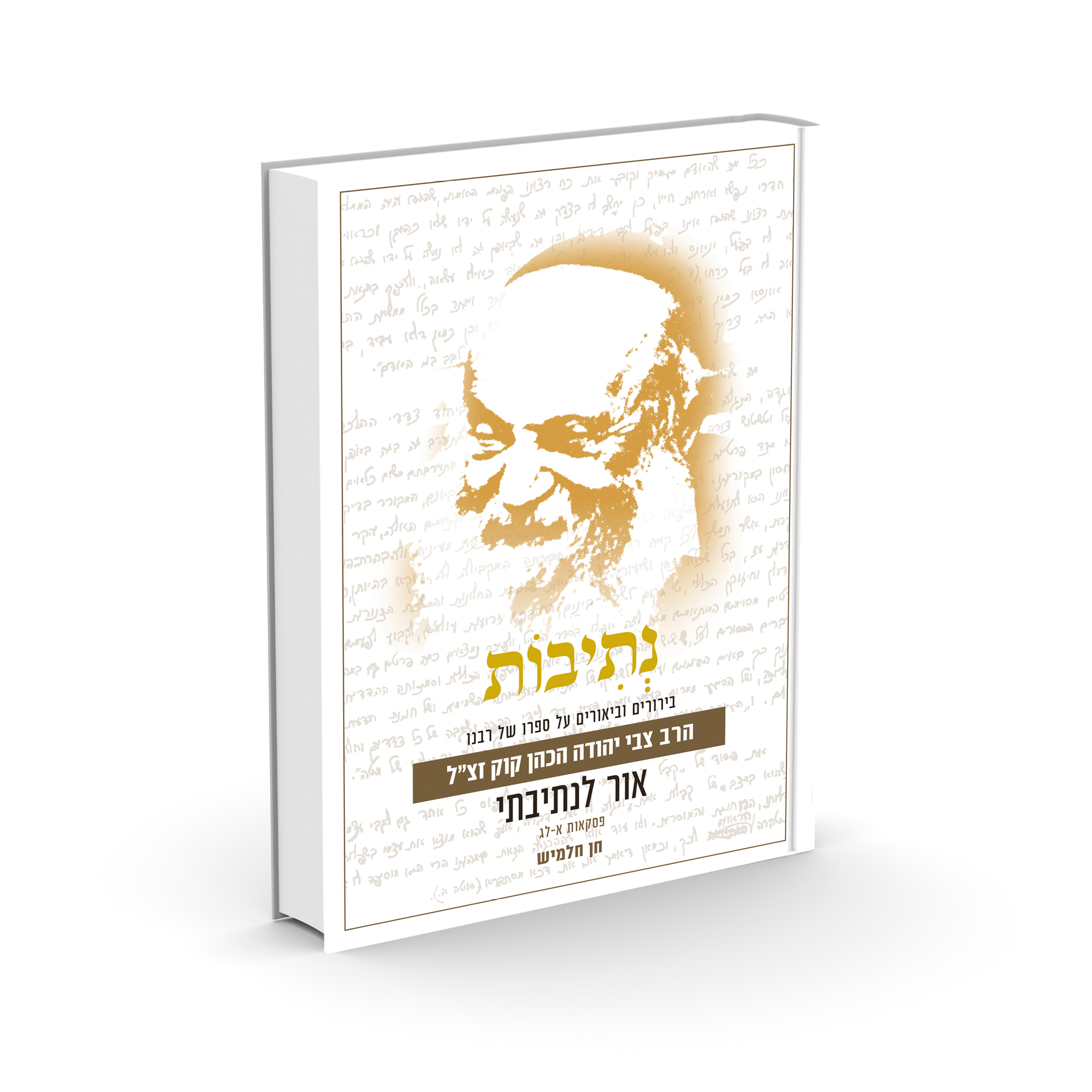 נתיבות